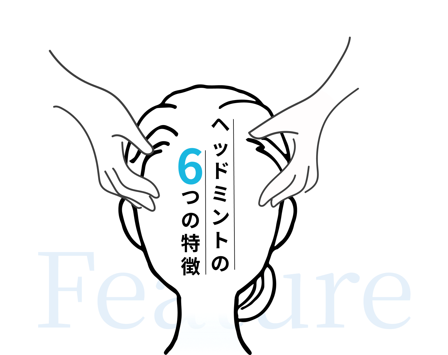 ヘッドミントの6つの特徴